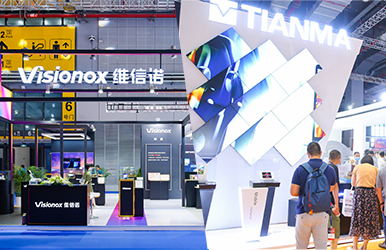 Visionox\TIANMA
