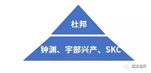 WFS2021薄膜展